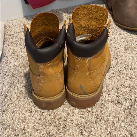 Timberlands - Picture 4 of 6